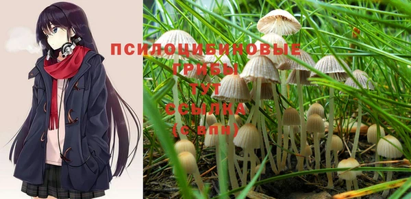 ALPHA PVP Баксан